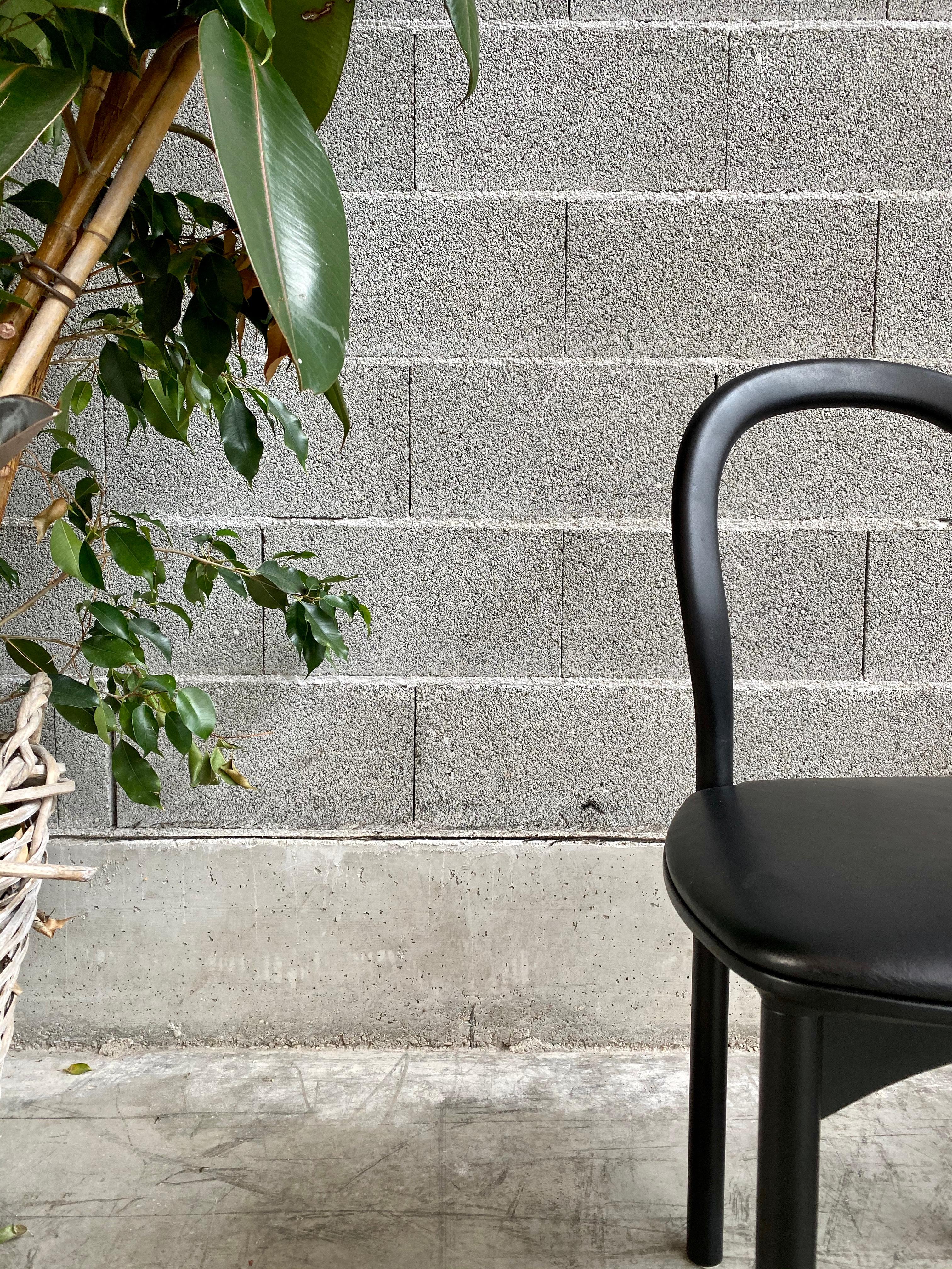 Chaises de salle à manger 