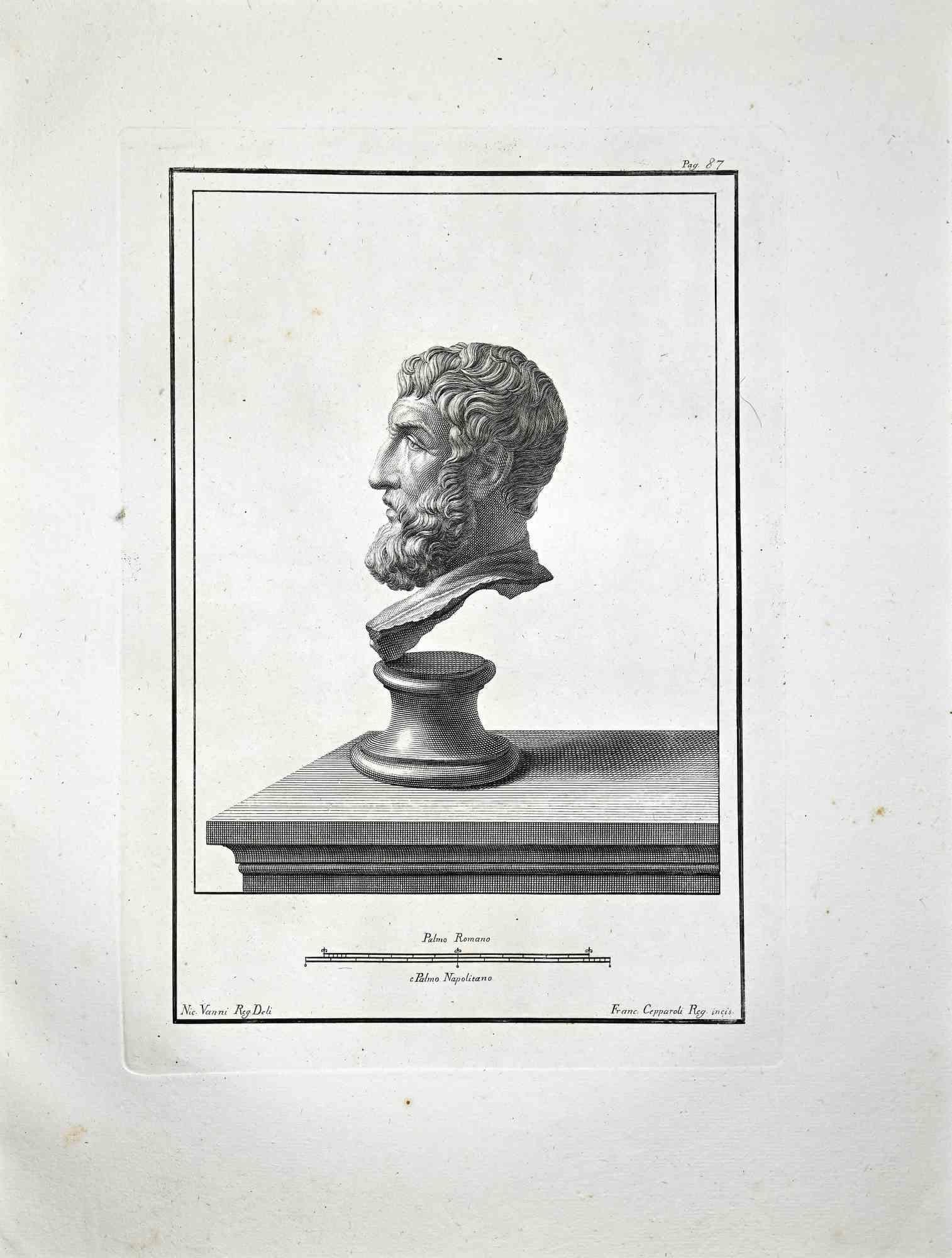 Anticient Roman Busts - Etching by Francesco Cepparoli - Late 18 Century