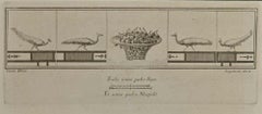 Antique Cornucopia of Cherries - Etching Ferancesco Cepparoli  - 18th Century
