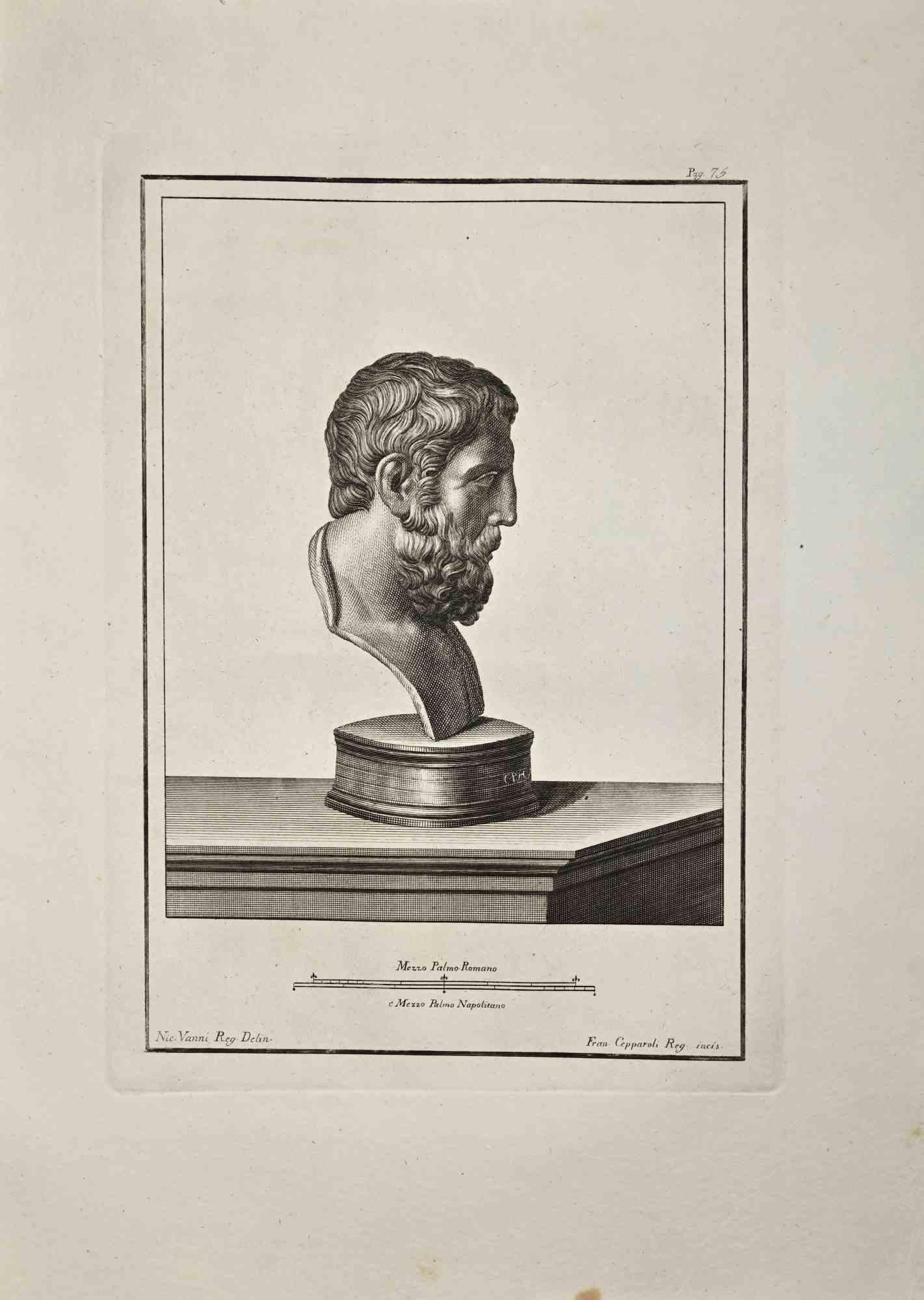 Profile of Ancient Roman Bust - Etching by Francesco Cepparoli - Late 18 Century