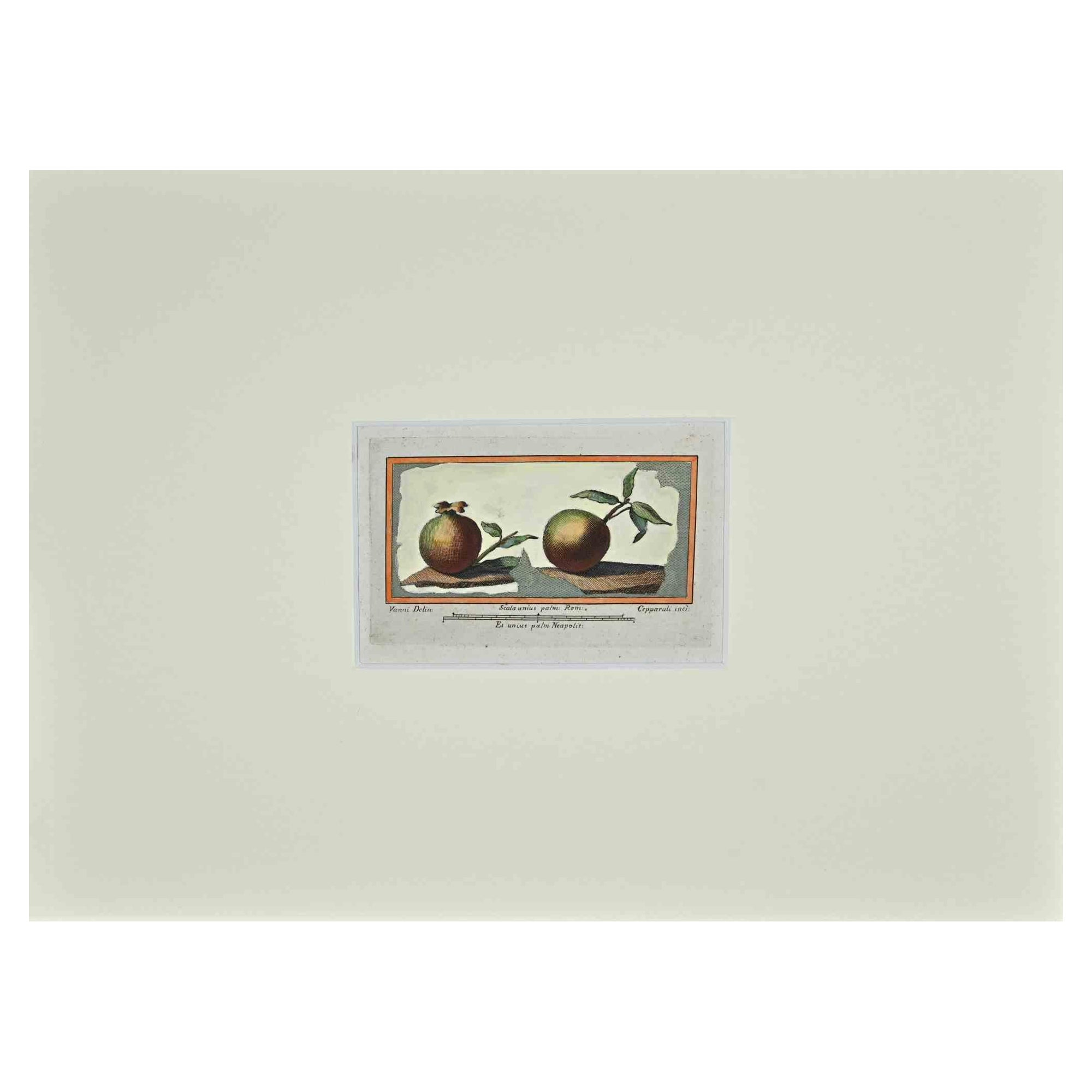 Figurative Print Francesco Cepparuli - Antiquités de l'Herculanum - gravure originale de F. Cepparuli - 18ème siècle