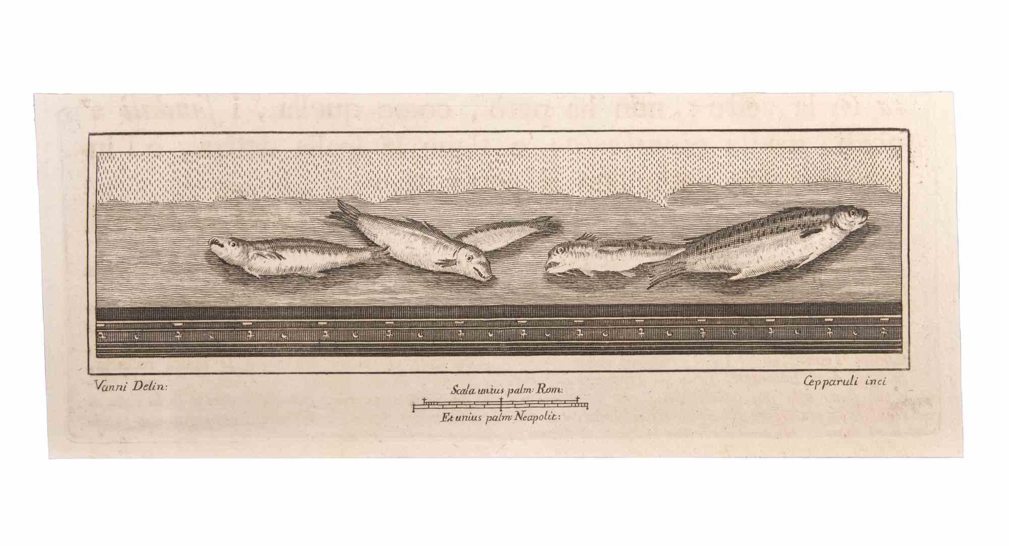 Francesco Cepparuli Figurative Print - Decoration With Fishes - Etching by F. Cepparuli - 18th Century