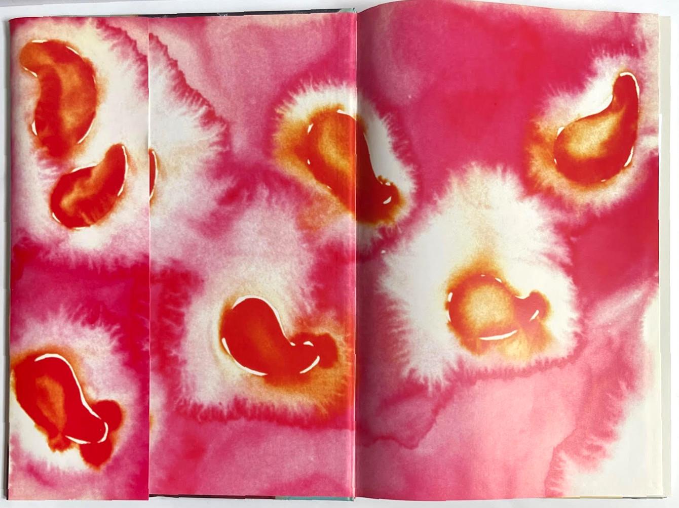 Hardback monograph: Life is Paradise (Hand signed by Francesco Clemente) For Sale 7