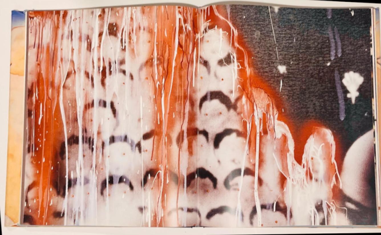 Monograph: Francesco Clemente (Hand signed, inscribed and dated 2014 (MMXIV) ) For Sale 11