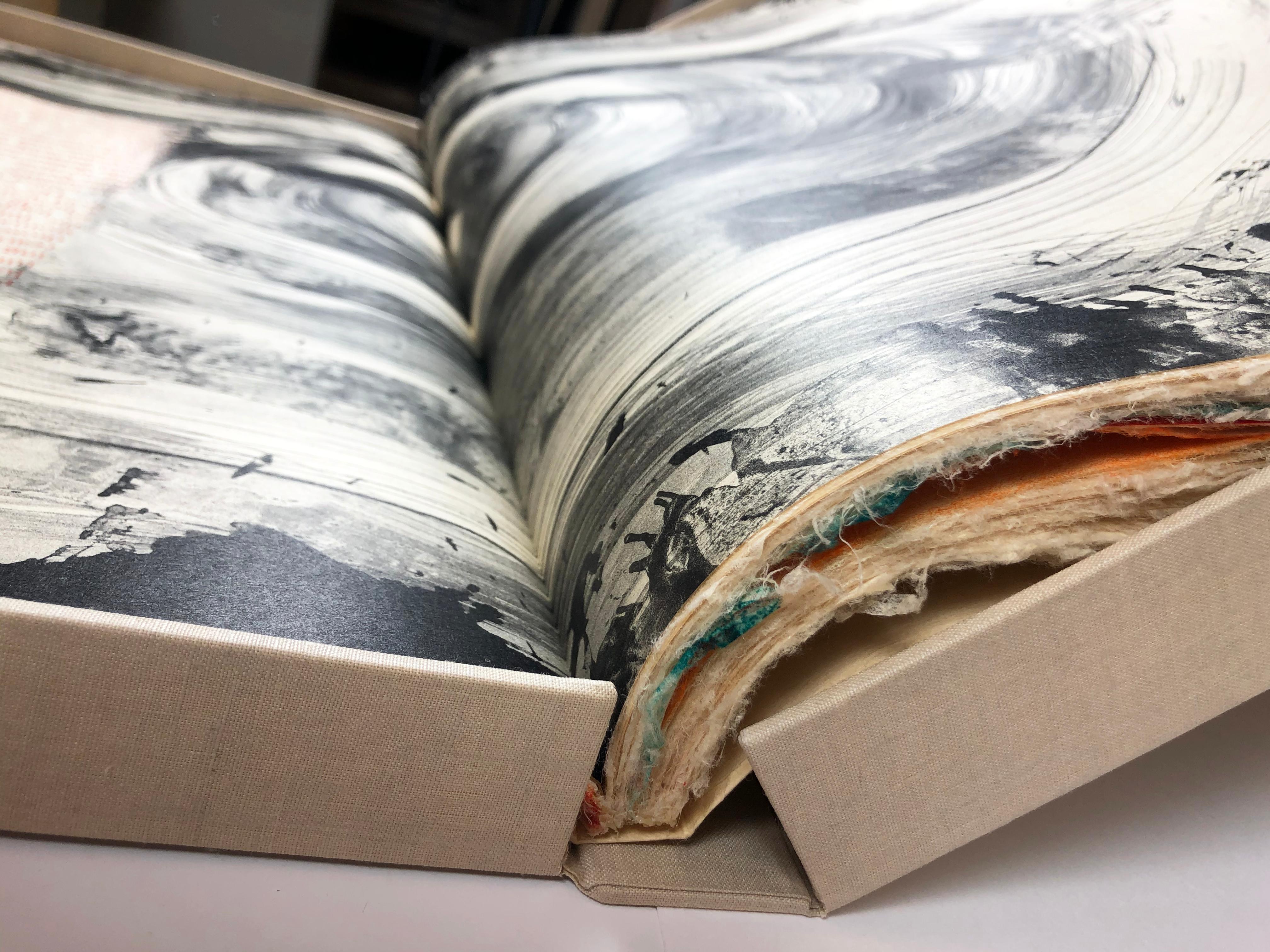 francesco clemente book