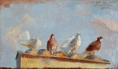 Francesco De Nicola - Piccioni sul tetto Piccioni sul tetto