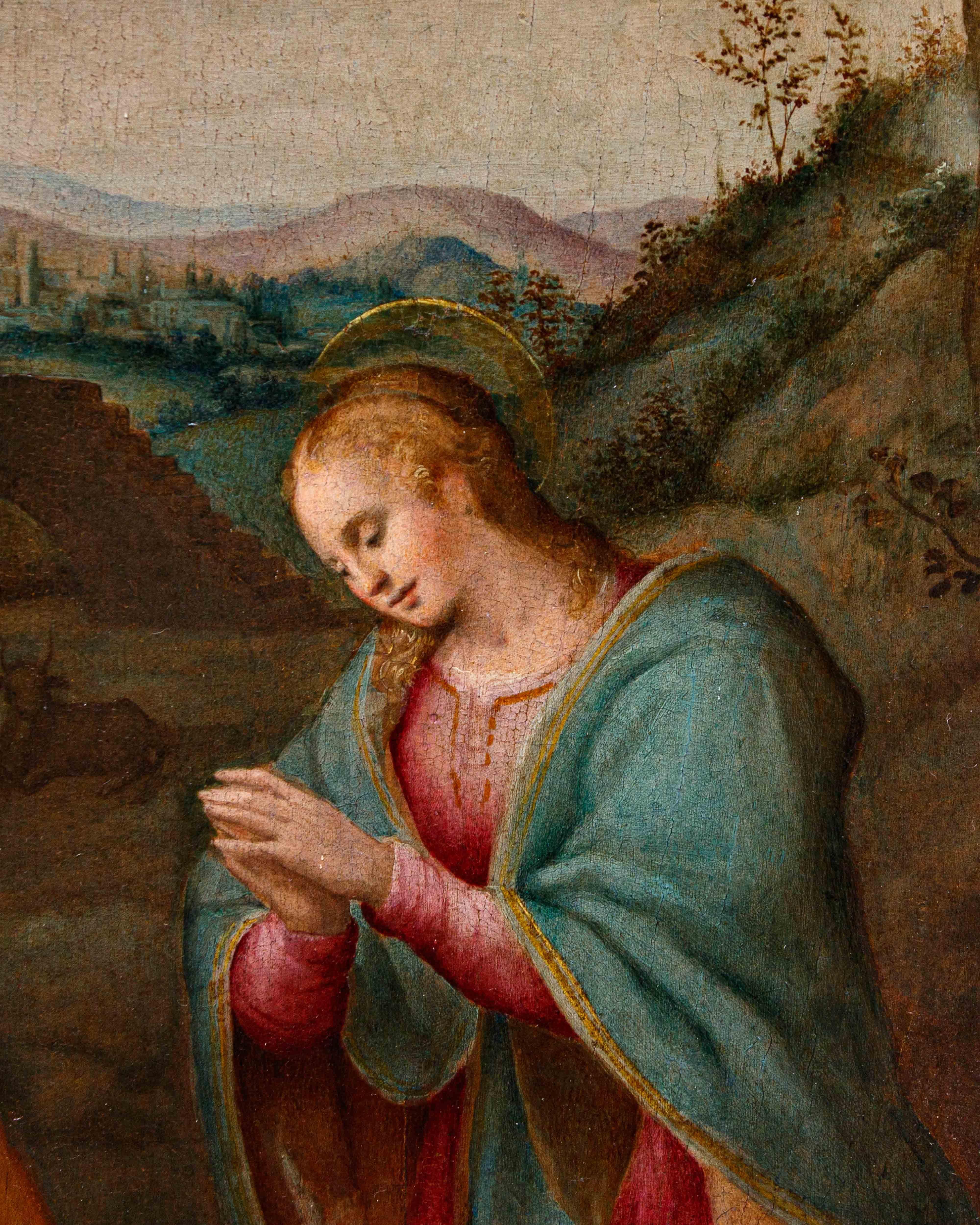 Di Francesco del Brina, Natività en venta 5