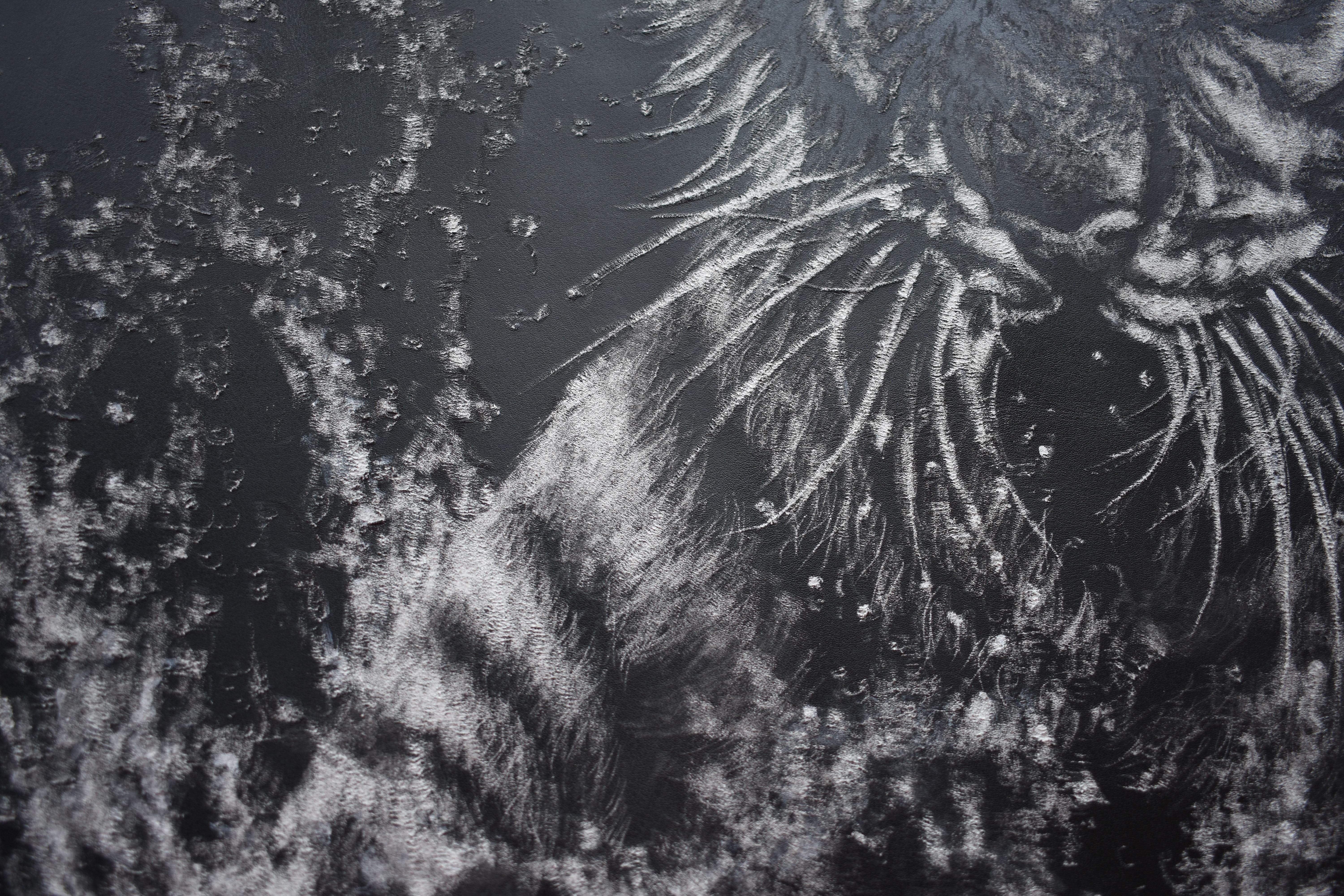 Drowned Roar For Sale 1