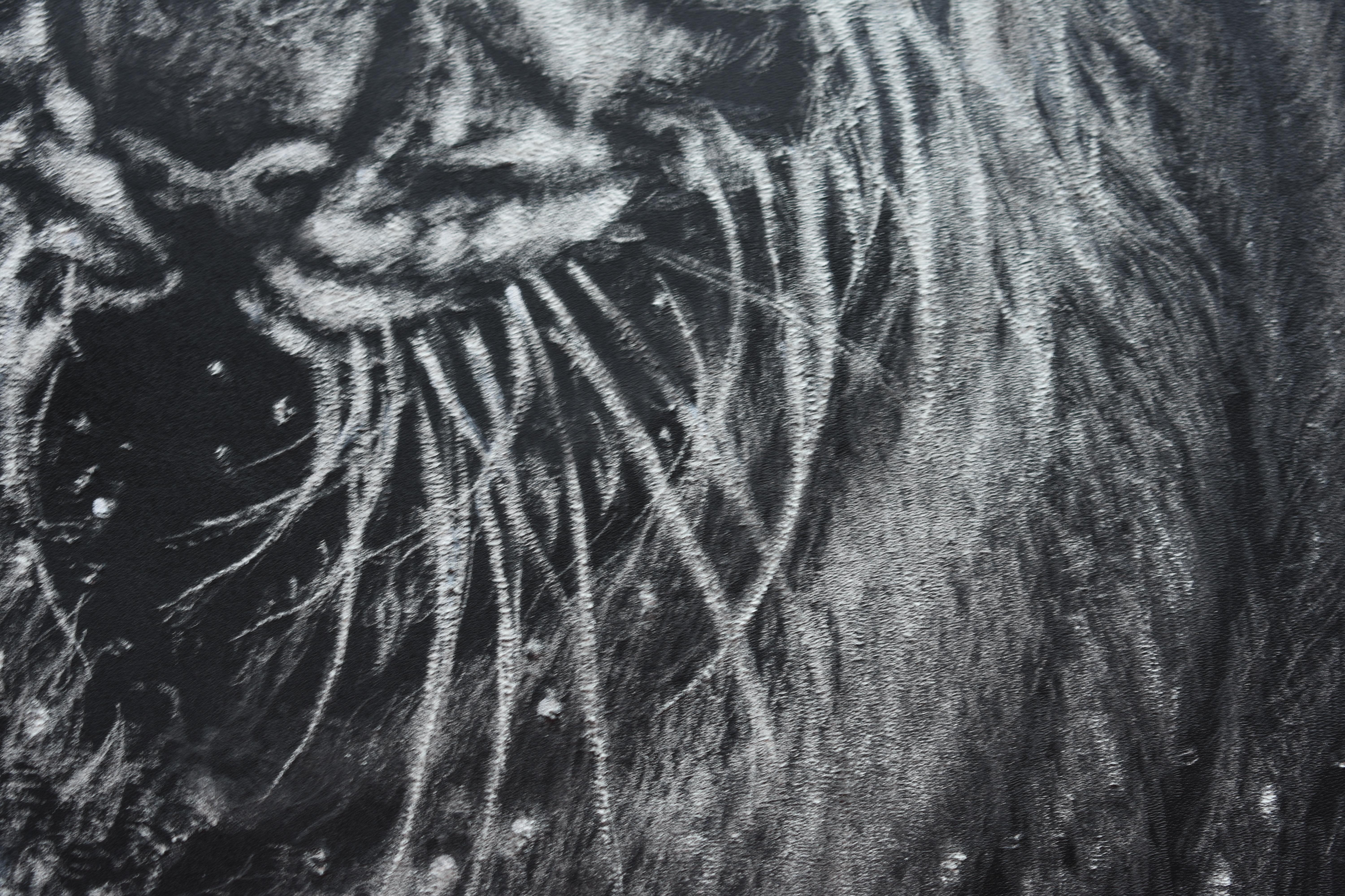 Drowned Roar For Sale 4