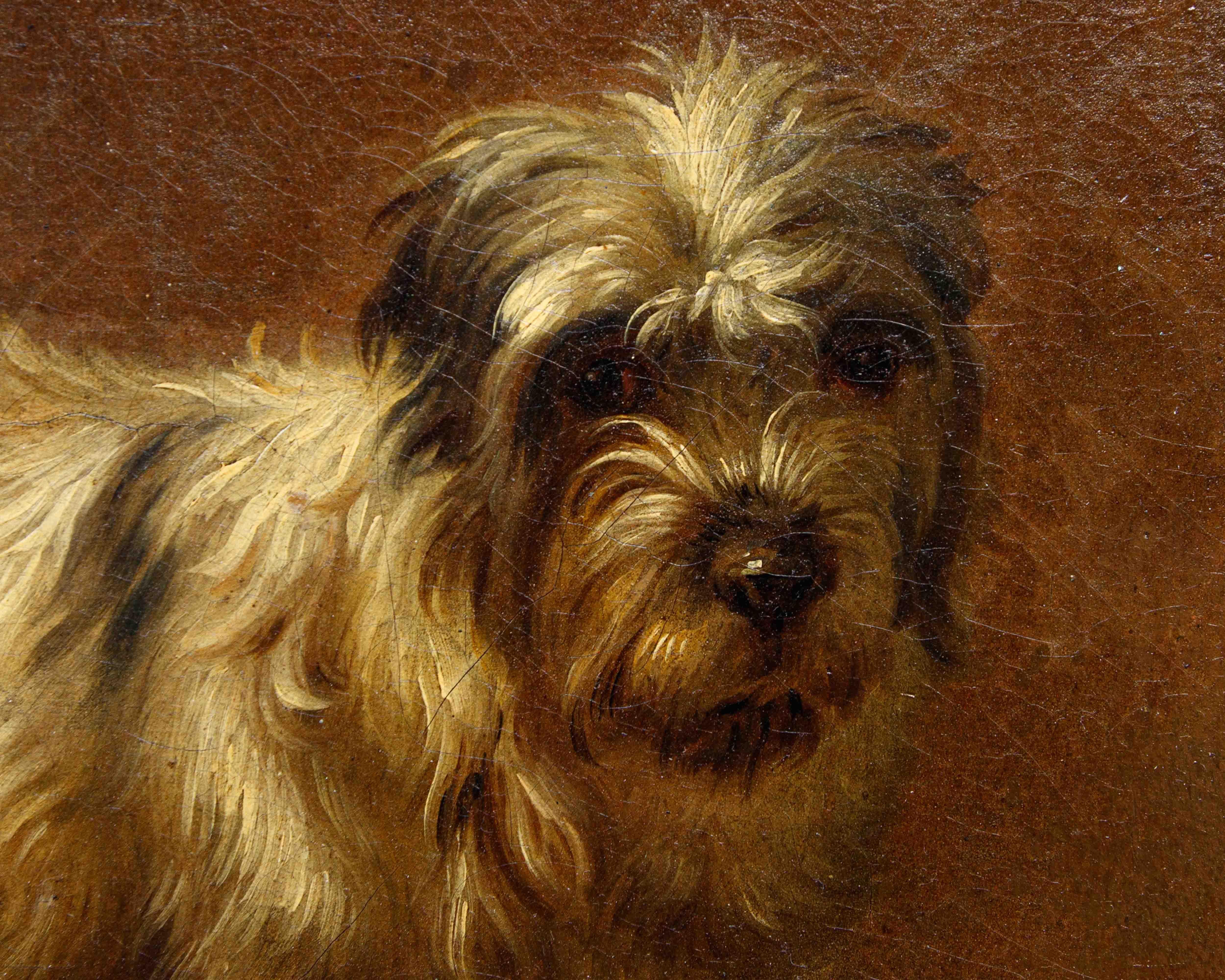 Di Francesco Londonio, Ritratto di cagnolino For Sale 1