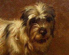 Par Francesco Londonio, Portrait d'un petit chien