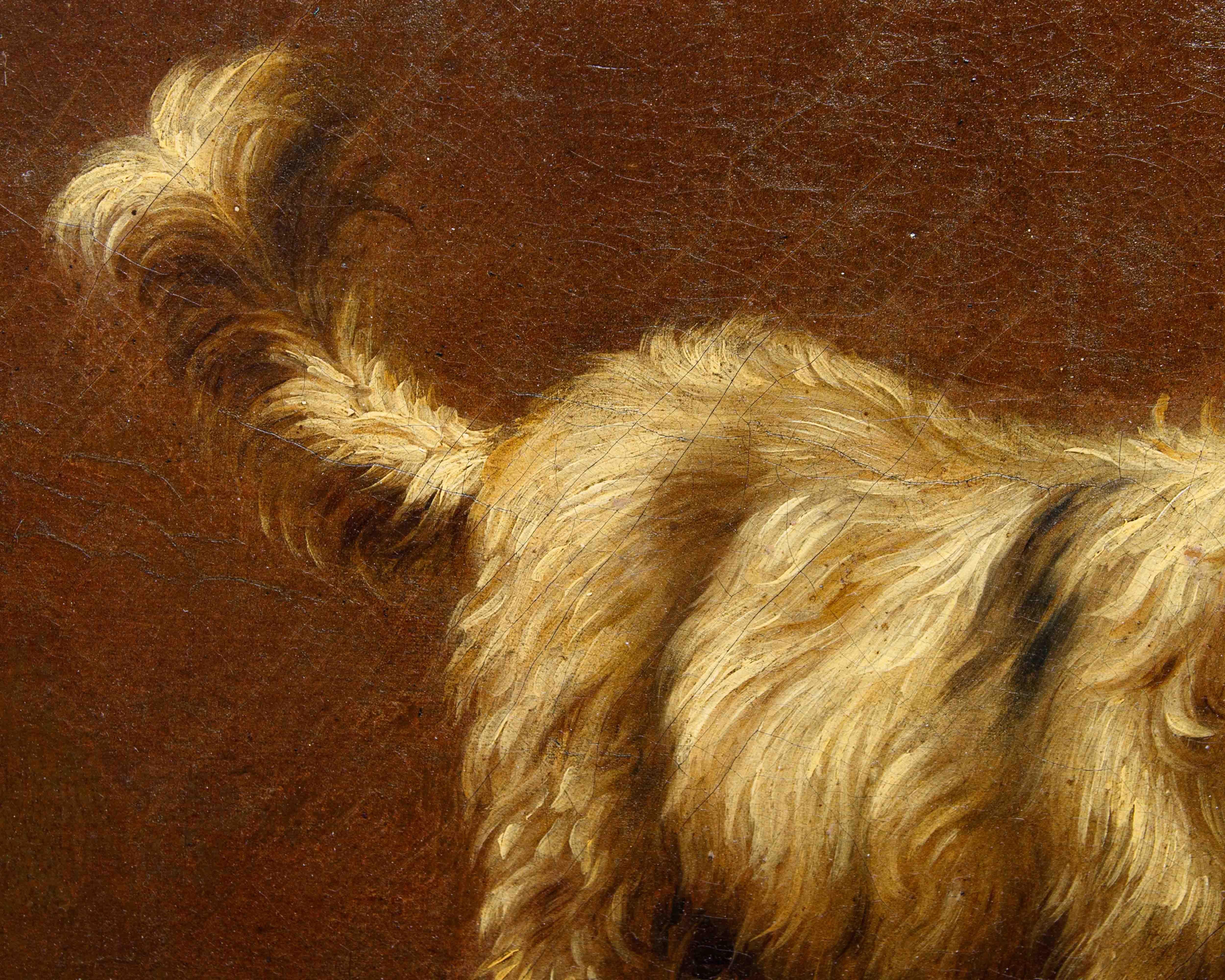 Di Francesco Londonio, Ritratto di cagnolino For Sale 2