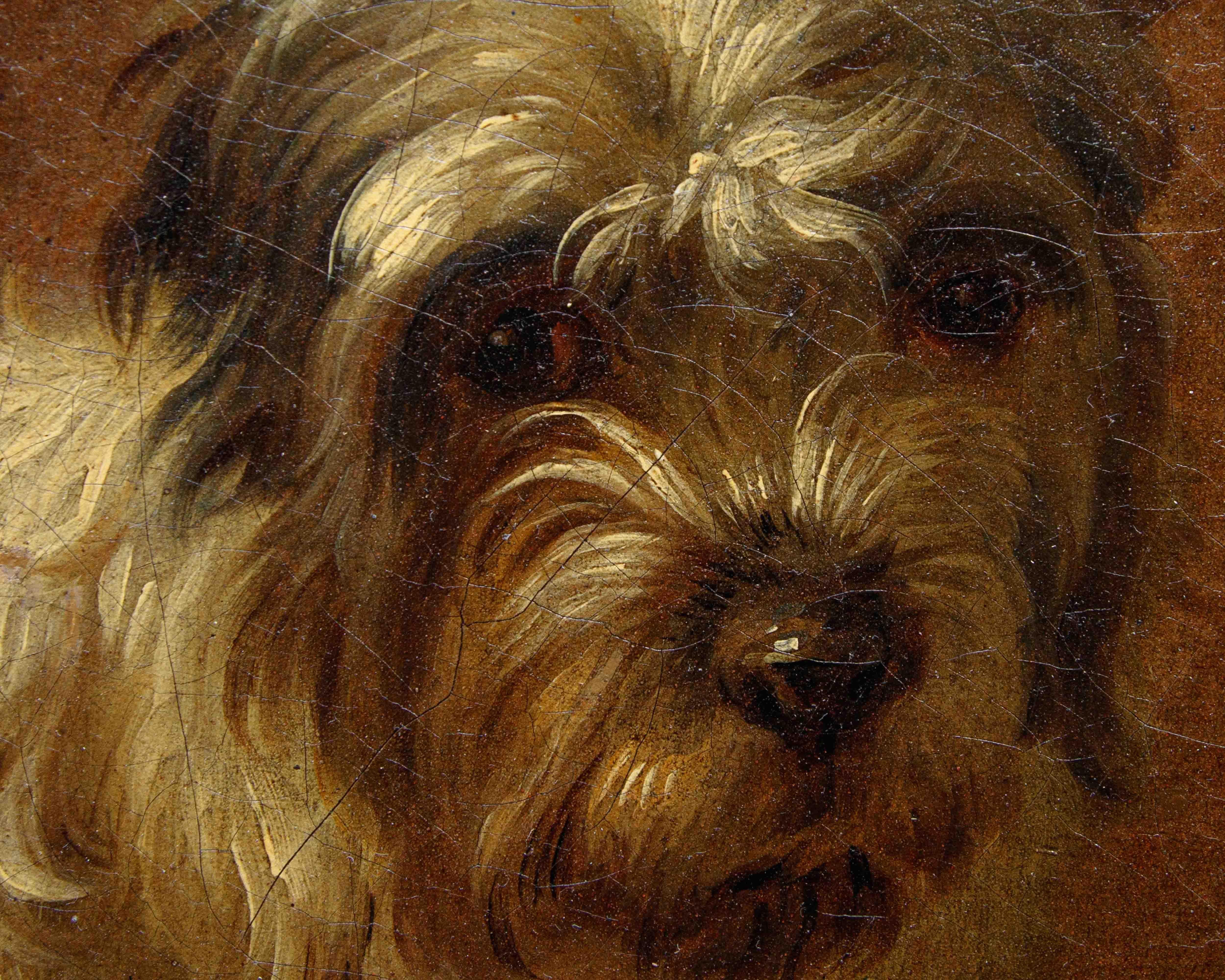 Di Francesco Londonio, Ritratto di cagnolino For Sale 3