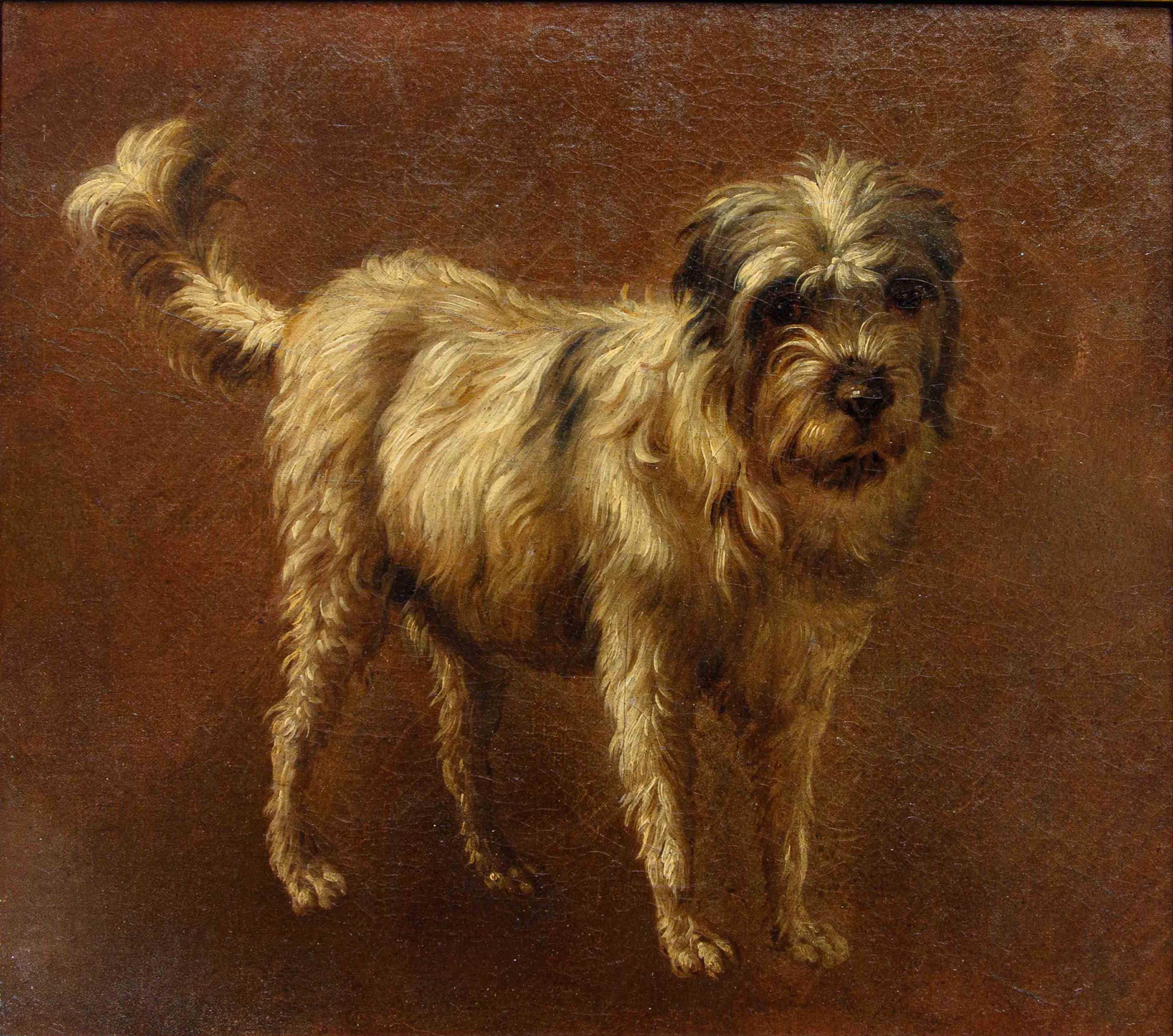 Di Francesco Londonio, Ritratto di cagnolino For Sale 5
