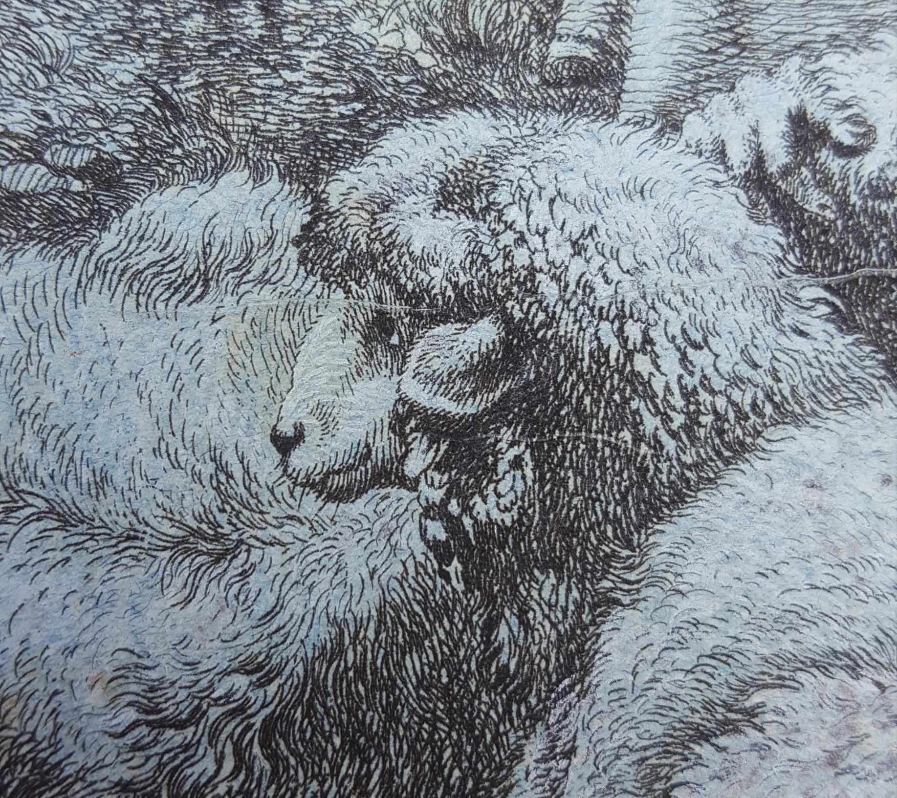 Woman Spinner and a Shepherd with Flock /// Sheep Lady Antique Landscape Animal 4