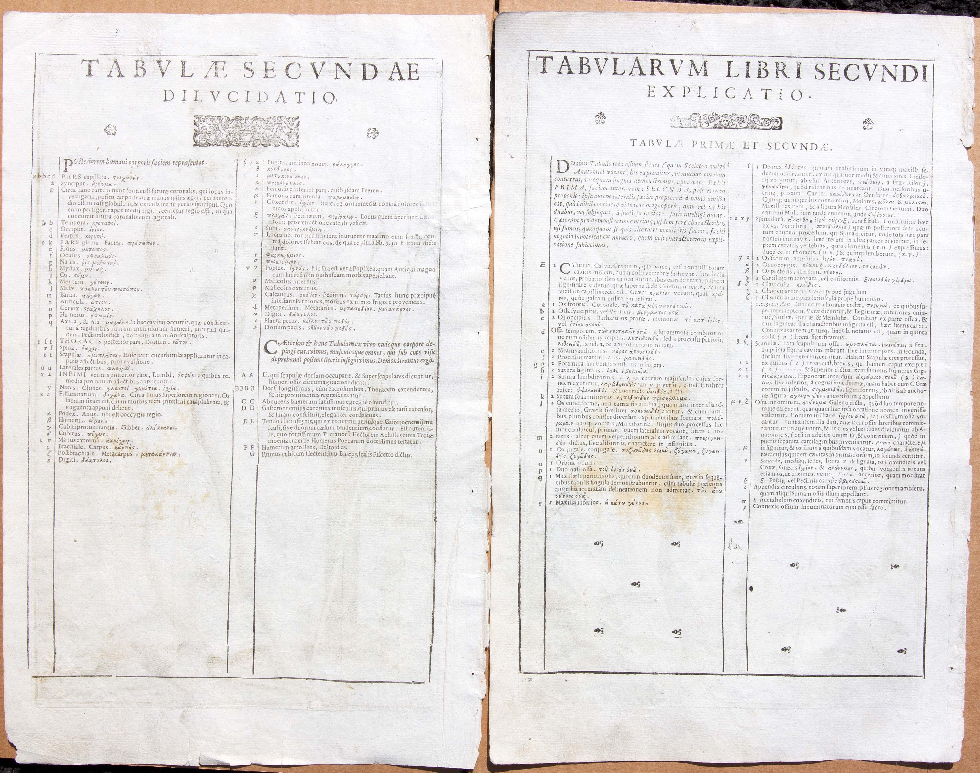 Paire de gravures d'anatomie médicale du 17e siècle par Francesco Valesio en vente 3