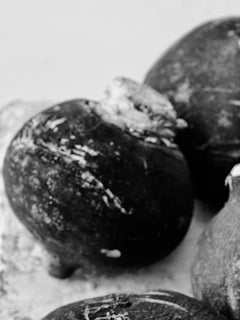 "Black Radish", Contemporary, Digital Silver Print, Black and White Photograph