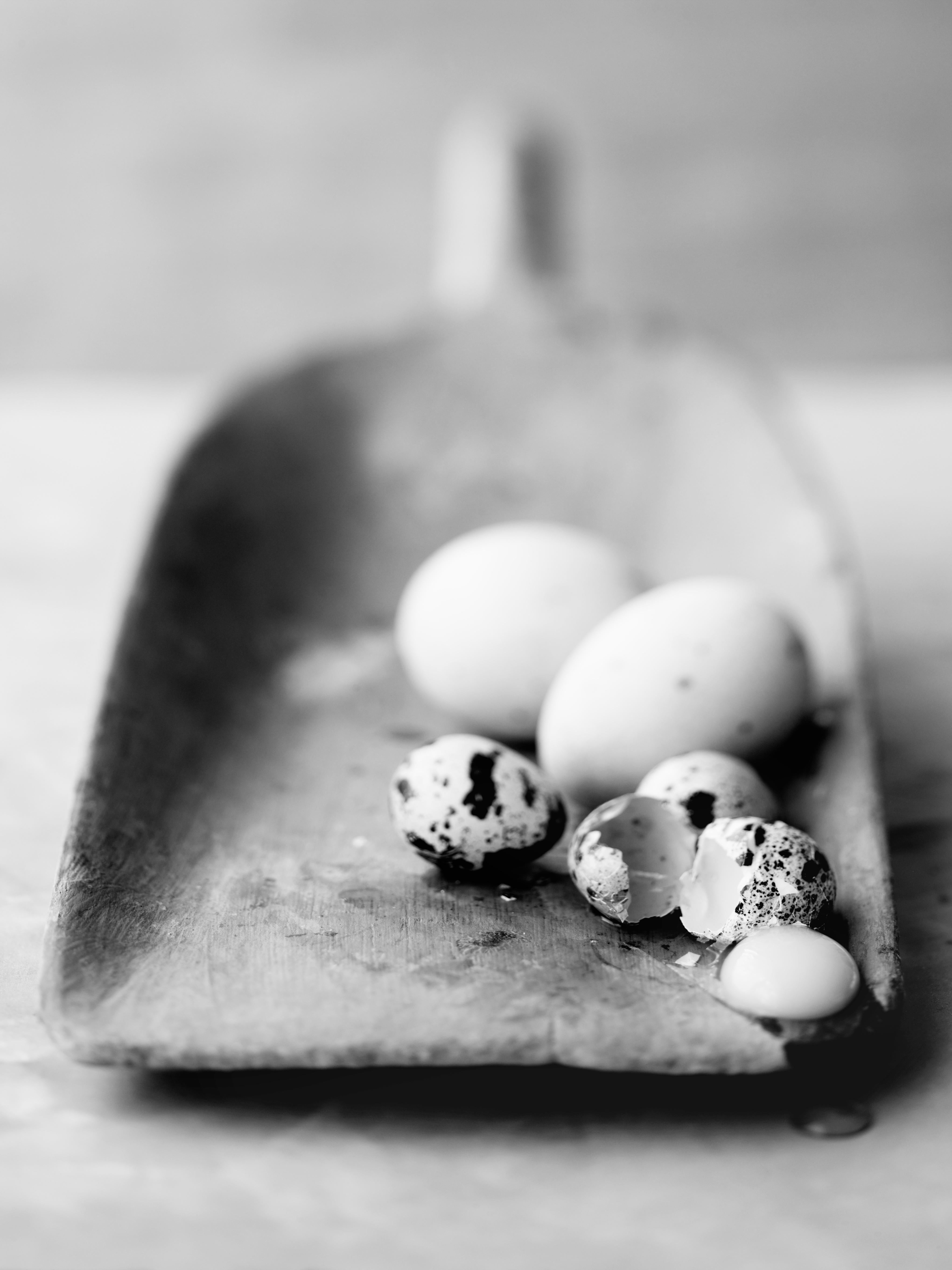 "Broken Eggs", Contemporary, Digital Silver Print, Black and White Photograph