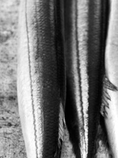 "Fish Tails", Contemporary, Digital Silver Print, Black and White Photograph