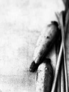 „Lemongrass“, Zeitgenössische Kunst, digitaler Silberdruck, Schwarz-Weiß-Fotografie