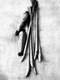 „Lemongrass“, Zeitgenössische Kunst, digitaler Silberdruck, Schwarz-Weiß-Fotografie