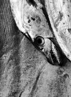 "Lovers", Contemporary, Fish, Digital Silver Print, Black and White Photo