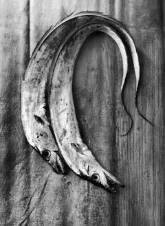 "Lovers", Contemporary, Fish, Digital Silver Print, Black and White Photo