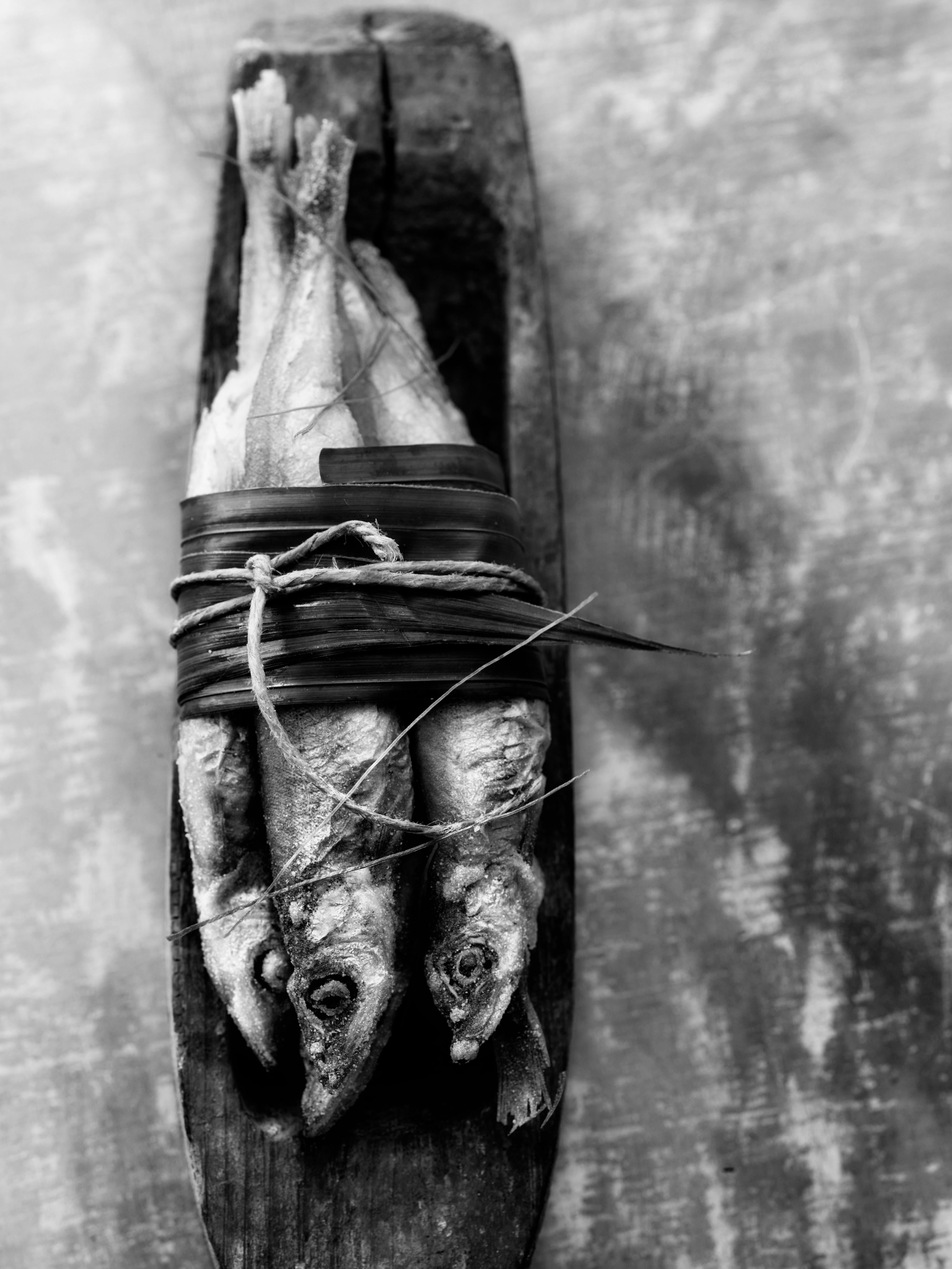 « Sardines », Art contemporain, tirage numérique sur papier argentique, photographie en noir et blanc