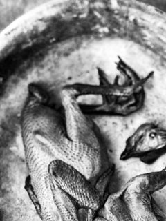"Silken Duck", Contemporanea, Stampa digitale su carta argentata, Fotografia in bianco e nero