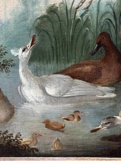 17th century English Birds on a pond and in flight, Ducks, Swans, Kingfisher