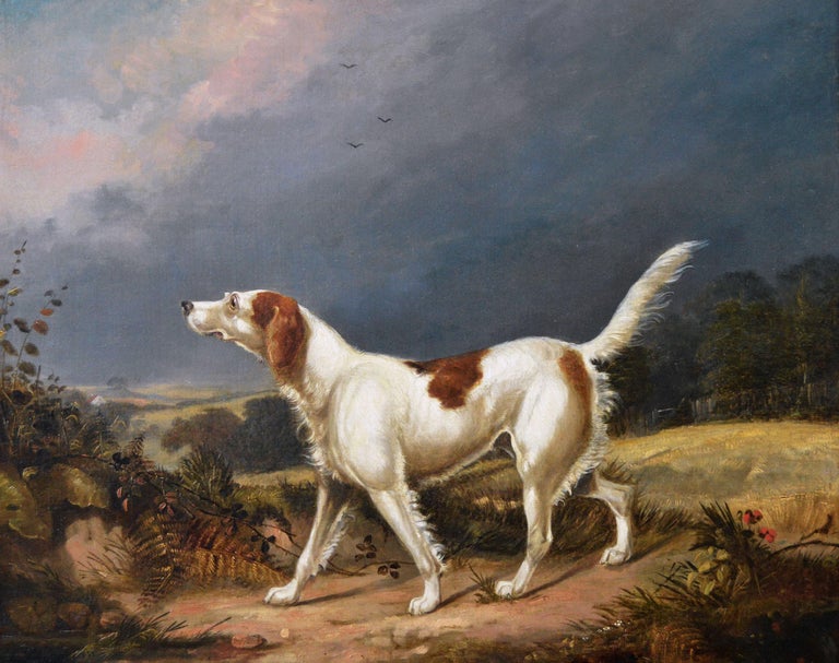 https://a.1stdibscdn.com/francis-calcraft-turner-paintings-early-19th-century-sporting-dog-oil-painting-of-a-setter-in-a-landscape-for-sale-picture-2/a_1562/a_65003921676473317502/turnerfc_standingproud1_master.jpg?width=768