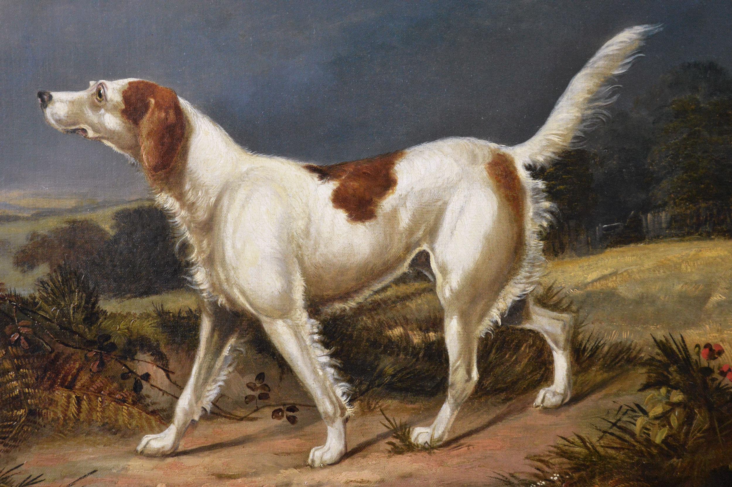 Early 19th Century sporting dog oil painting of a setter in a landscape  - Victorian Painting by Francis Calcraft Turner