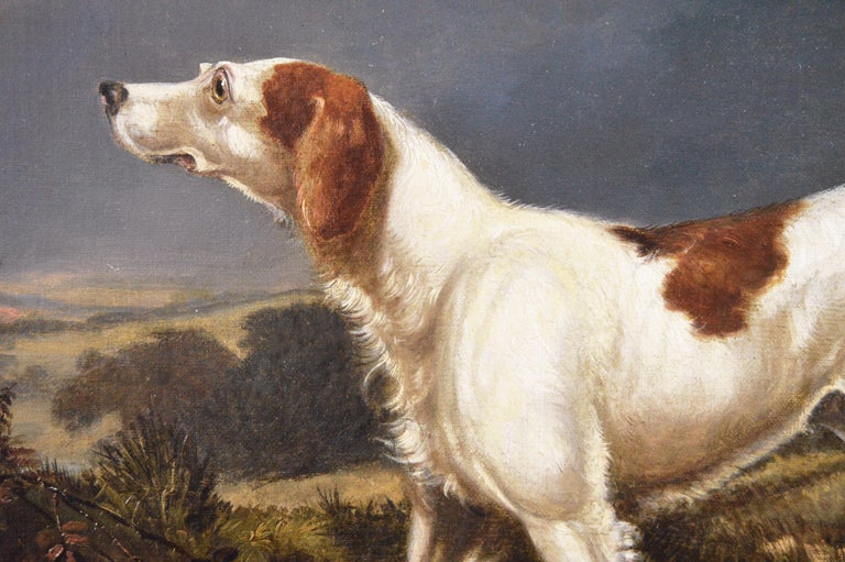 Early 19th Century sporting dog oil painting of a setter in a landscape  - Brown Animal Painting by Francis Calcraft Turner