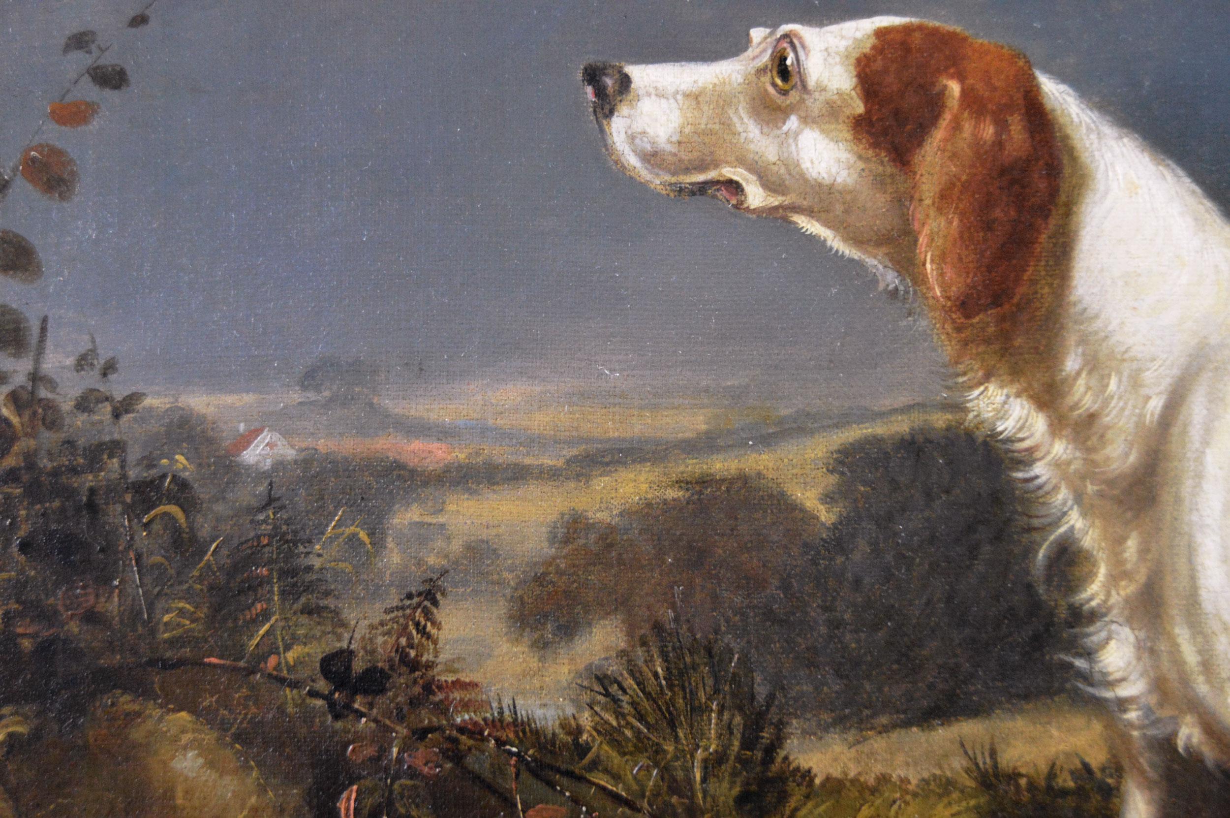 Early 19th Century sporting dog oil painting of a setter in a landscape  For Sale 1