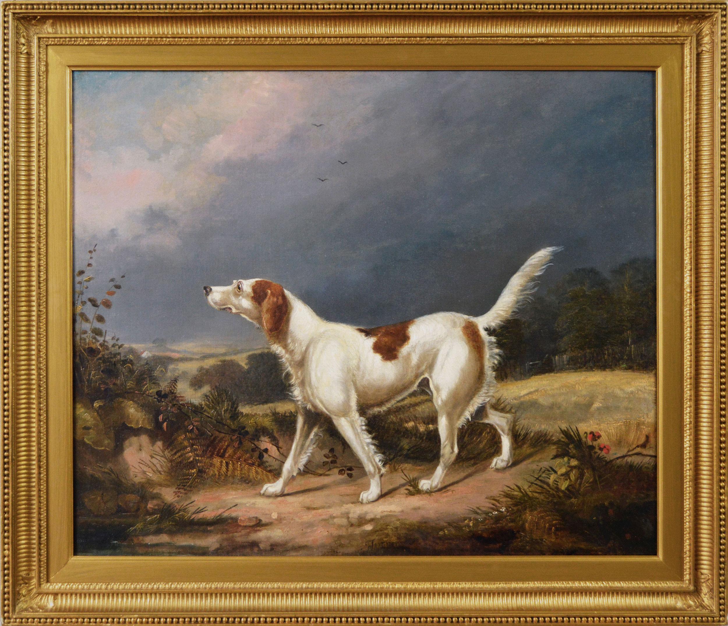 Early 19th Century sporting dog oil painting of a setter in a landscape 