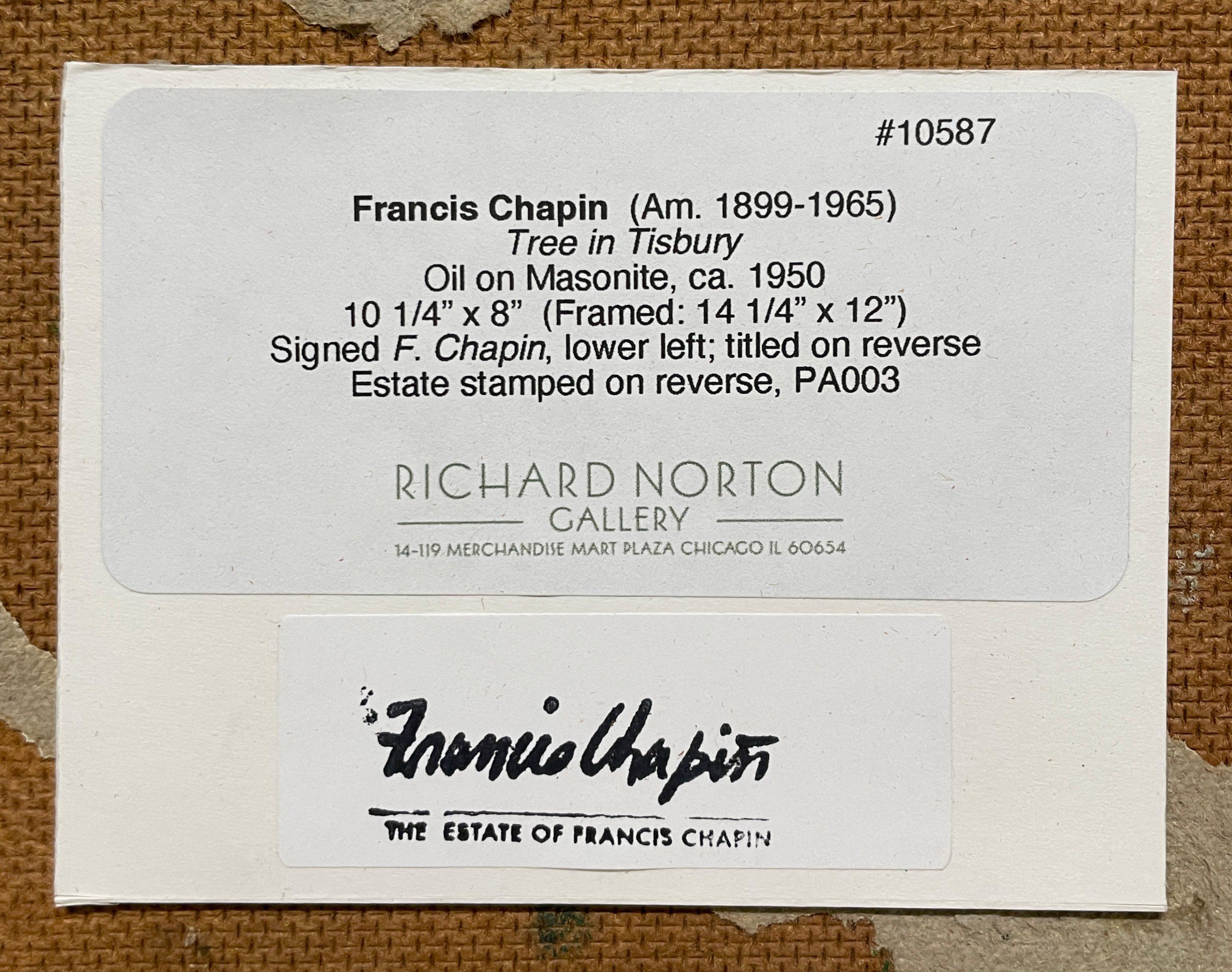 Ein lebendiges, modernes Landschaftsöl aus den 1950er Jahren von Martha's Vineyard, 