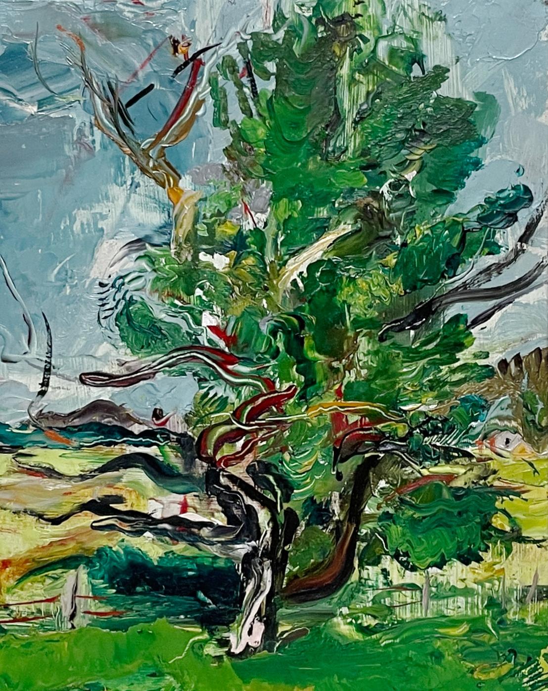 Ein lebendiges, modernes Landschaftsöl aus den 1950er Jahren von Martha's Vineyard, 