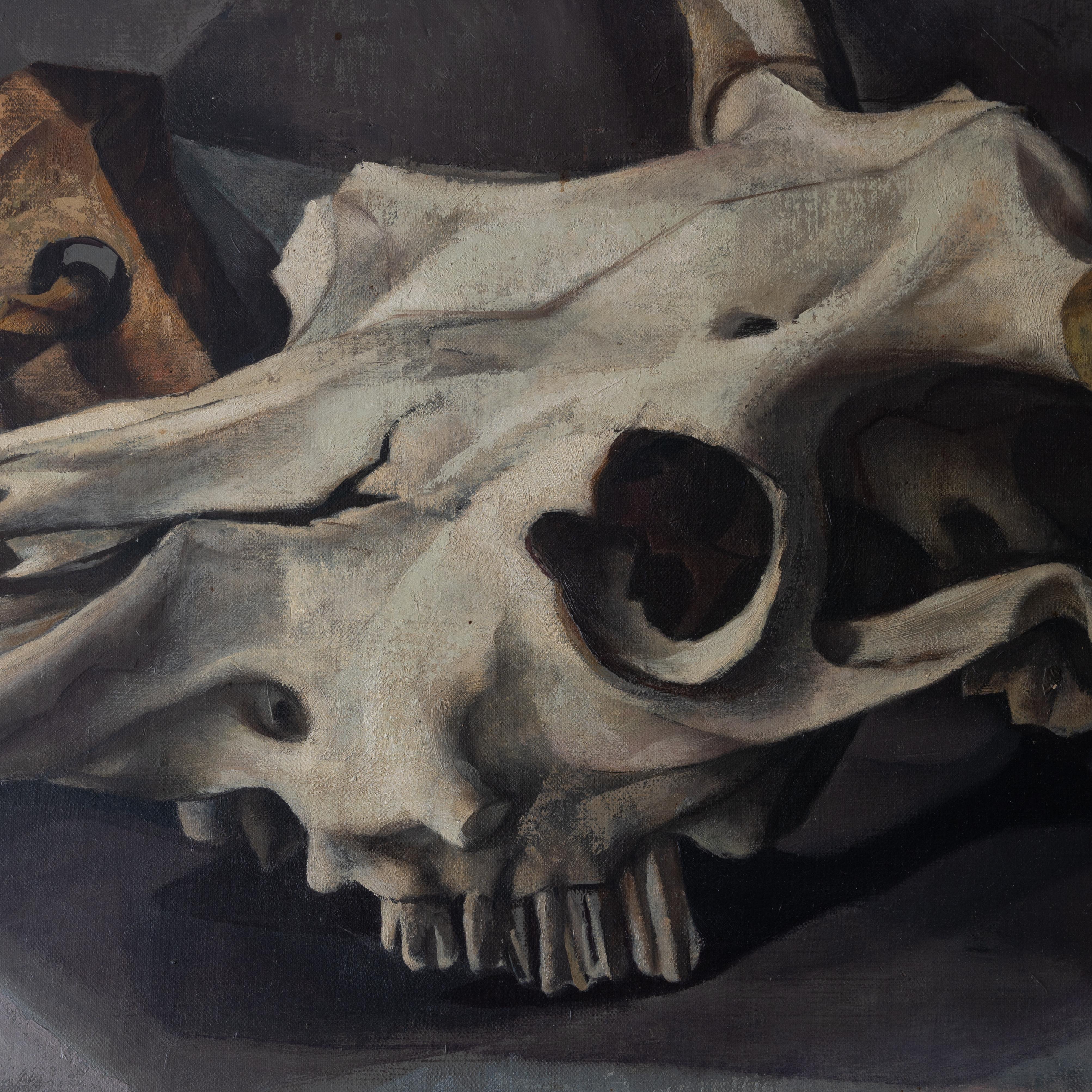 Francis de Erdely Still Life with Skull and Shells For Sale 1