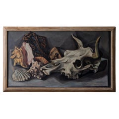 Francis de Erdely Still Life with Skull and Shells