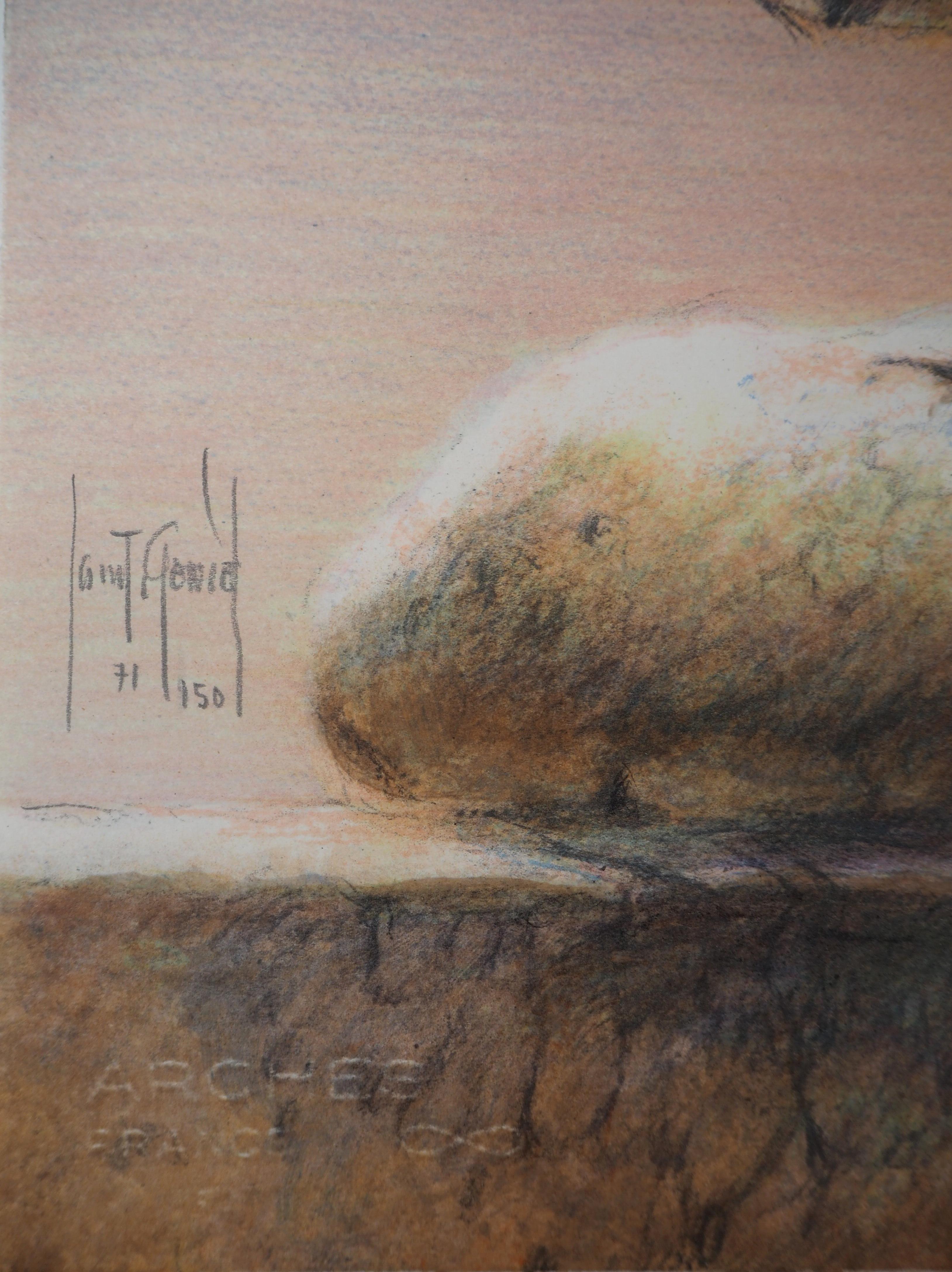 Enigma : Woman - Original handsigned lithograph - Print by Francis de Saint-Genies