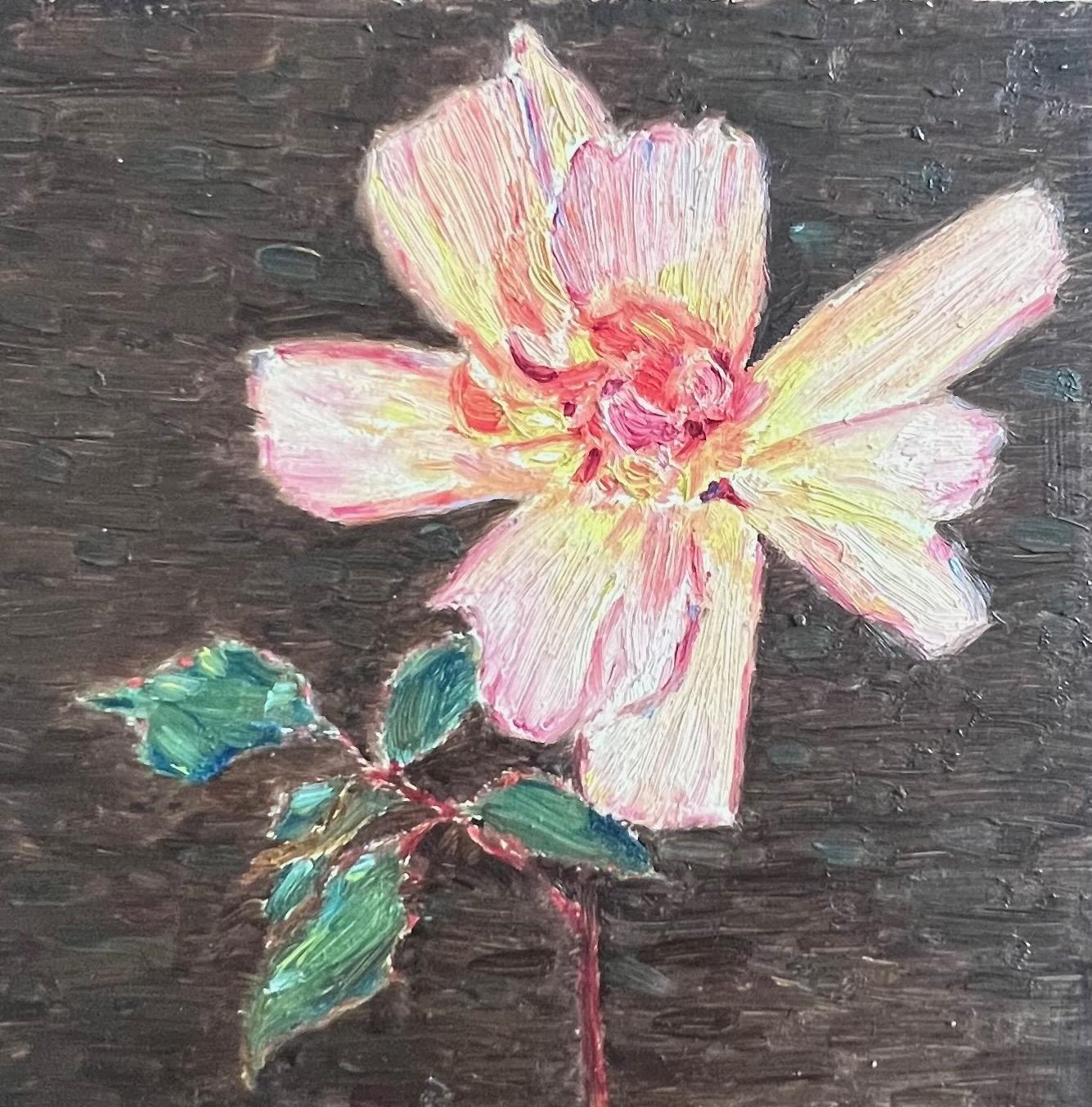 Wild Rose - Pink, Red, Yellow, Green oil ptg Flower from Santa Barbara, CA 0-121 - Painting by Francis Draper Jr.