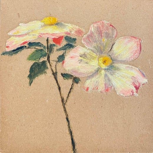 Francis Draper Jr. - Wild Rose - Yellow, Pink and White Flowers - Santa  Barbara, California 0-122 at 1stDibs