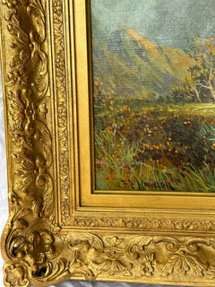 Antique Scottish Highland Loch landscape, with sunlit streaming onto the water