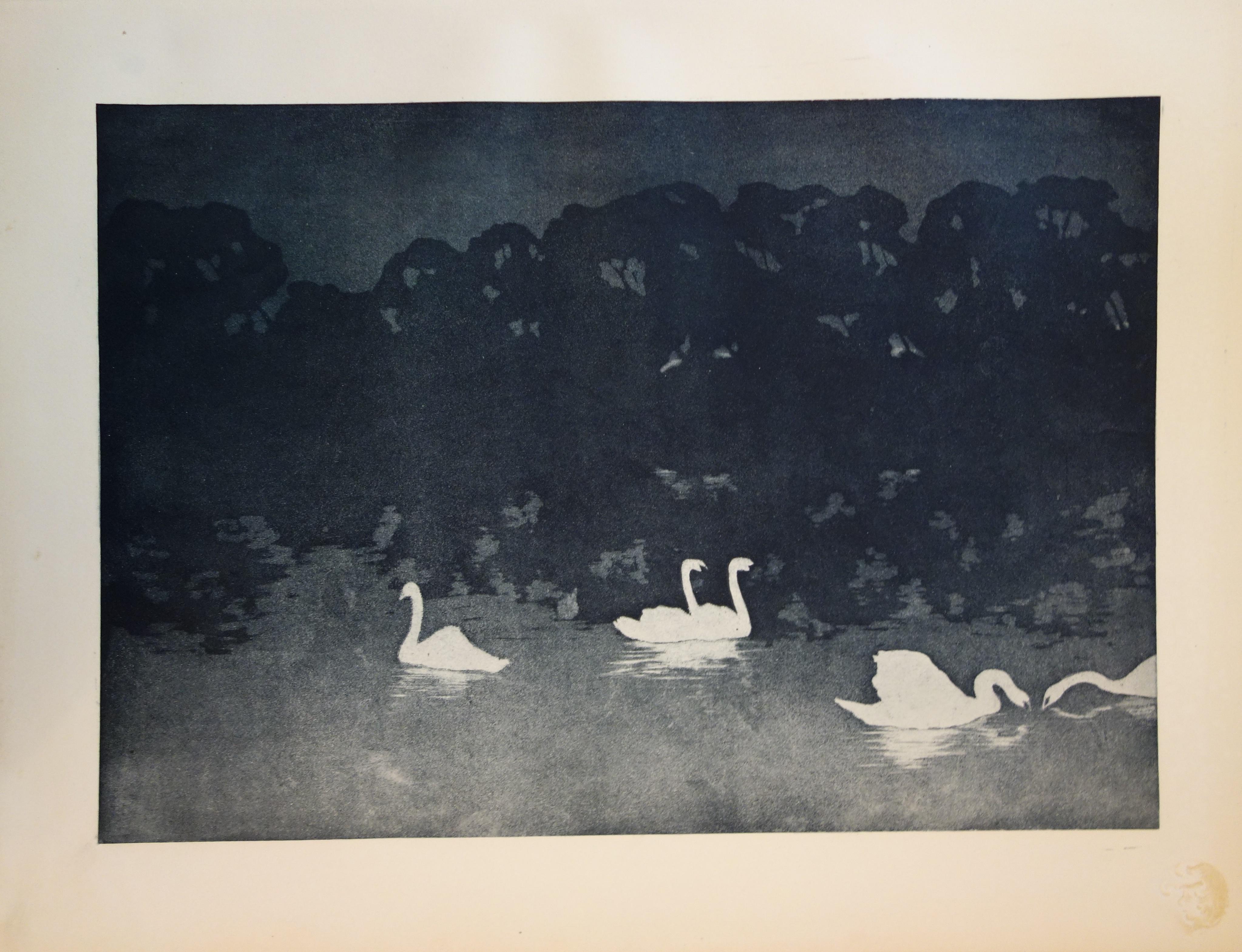 Night Dream : the Swanns - Original Lithograph, 1898 - Print by Francis Jourdain