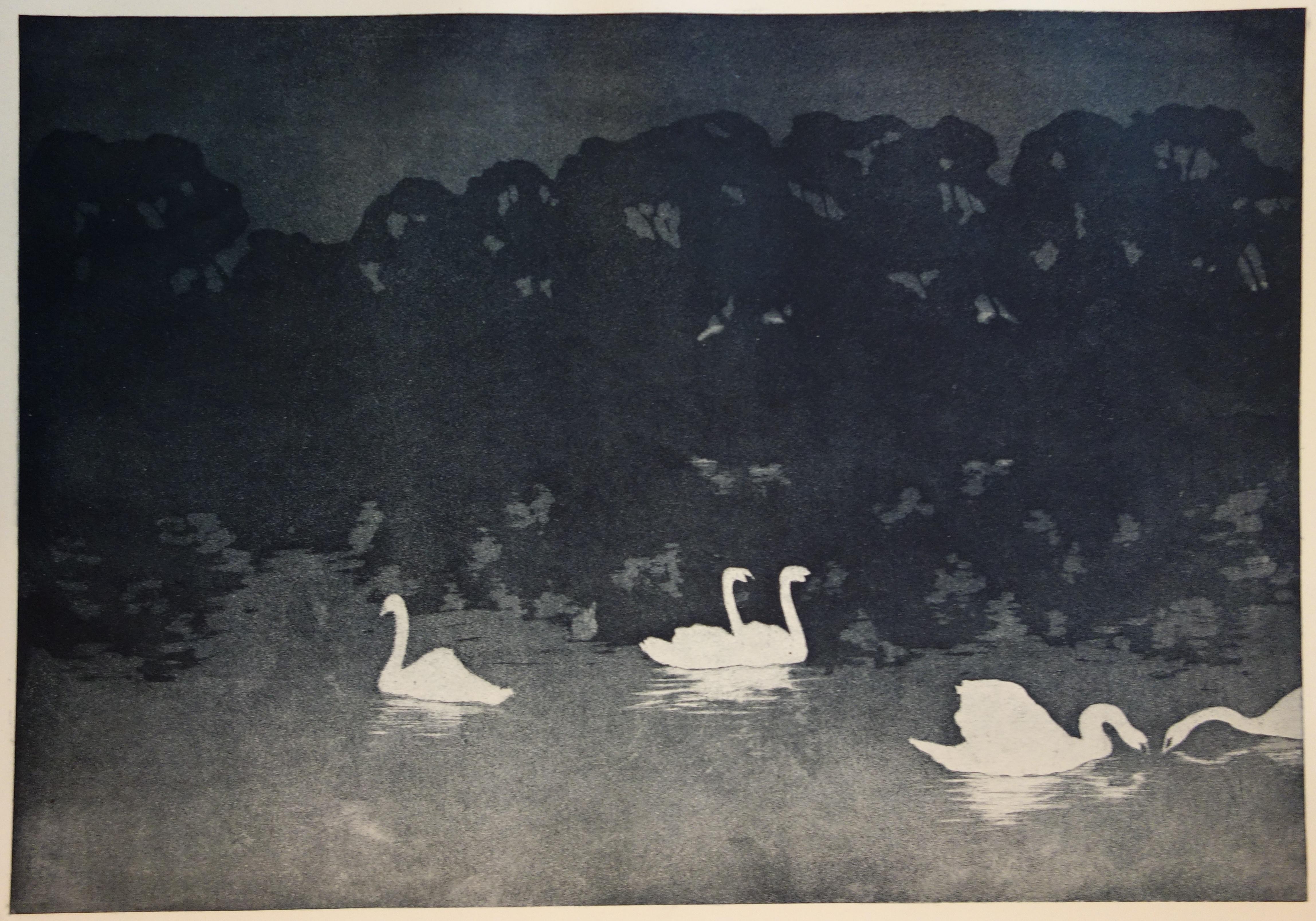 Le rêve de nuit des cygnes - Lithographie originale, 1898