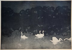 Sueño Nocturno : los Cisnes - Litografía original, 1898