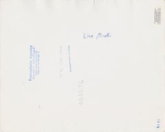 Liza Minelli on Stage, 20s Century