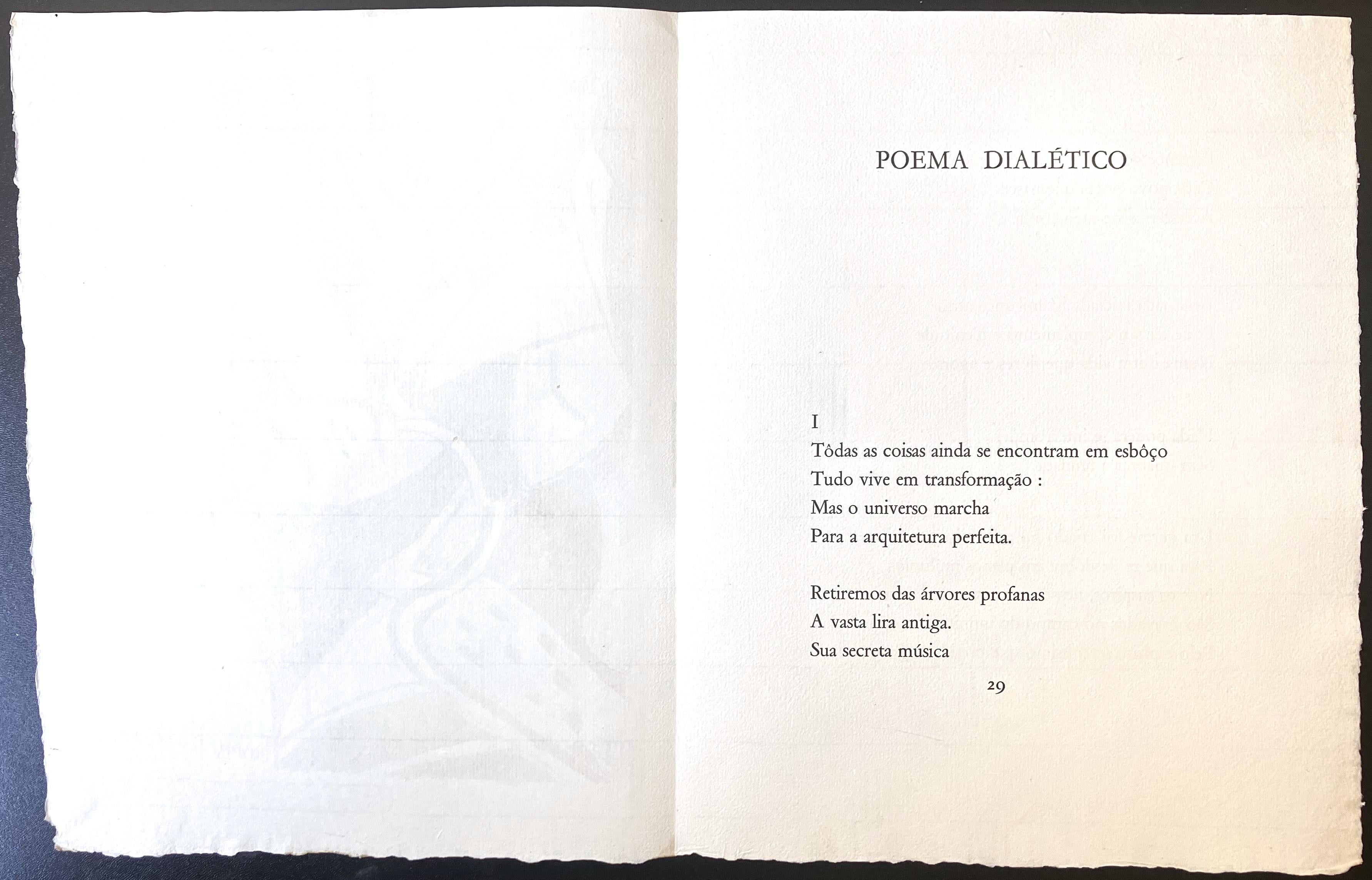 Piastra 4 da Janelo de Caos (Finestra del Caos) - Abstract Print Grigio di Francis Picabia