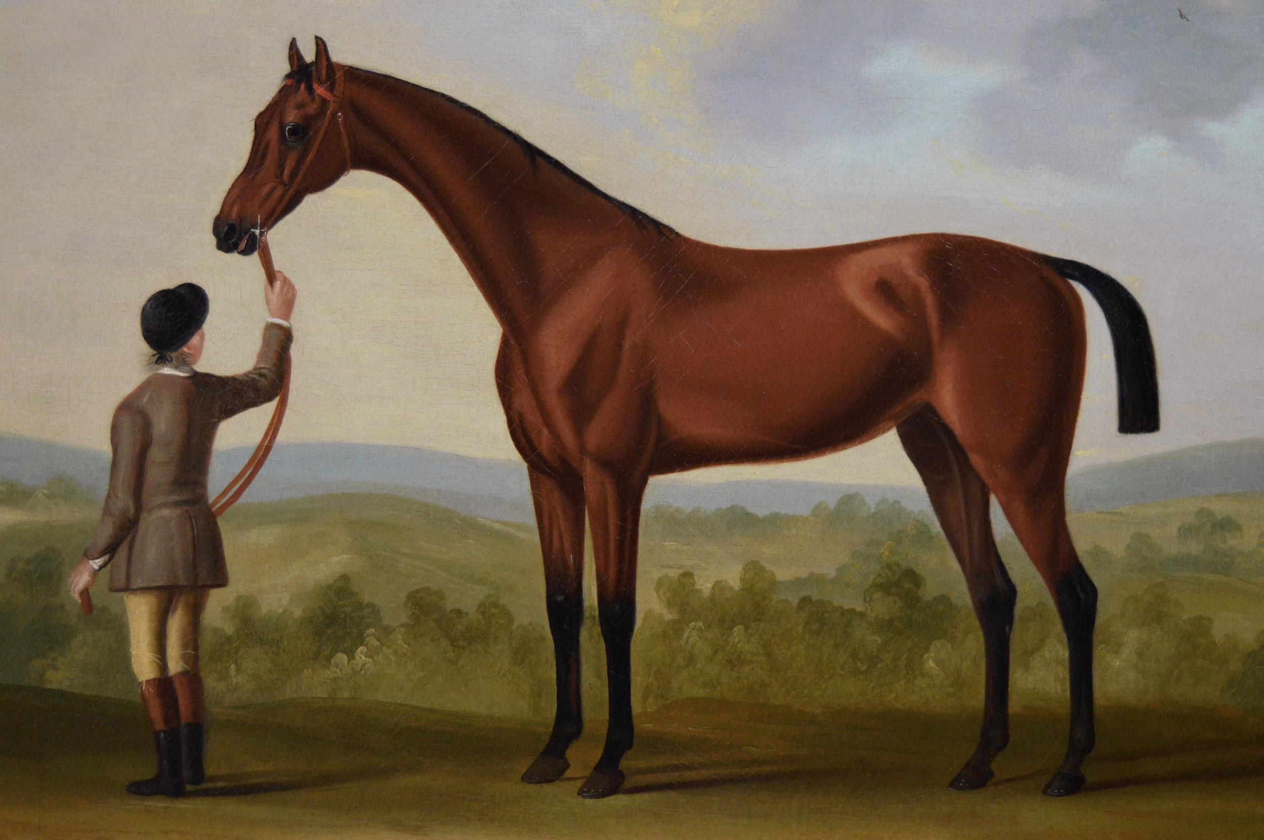 Porträt von Sportpferden aus dem 18. Jahrhundert, Ölgemälde eines Rennpferdes und eines Reiters  (Alte Meister), Painting, von Francis Sartorius