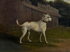 Fine Antique English White Bull Terrier Dog in a Wooded Landscape Oil Painting